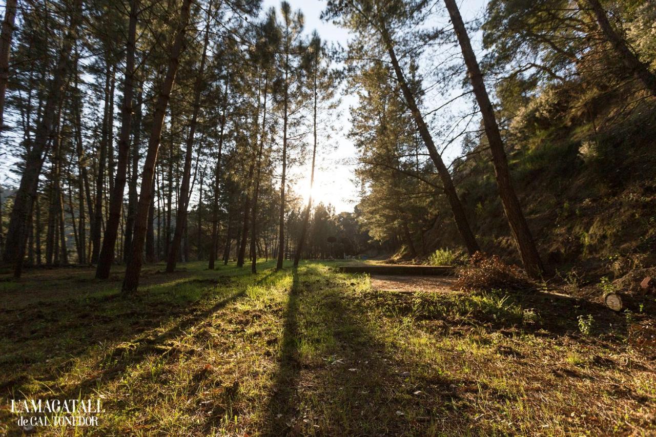 El Niu - L'Amagatall De Cal Tonedor Vallgorguina Bagian luar foto
