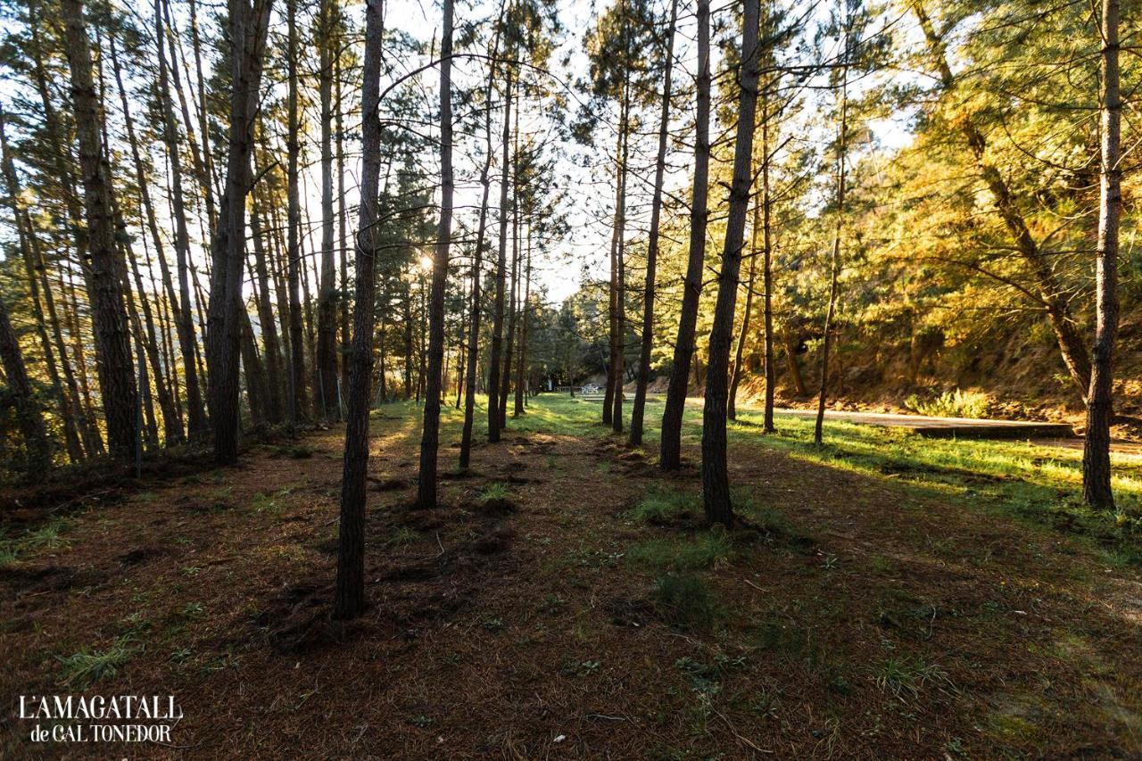 El Niu - L'Amagatall De Cal Tonedor Vallgorguina Bagian luar foto